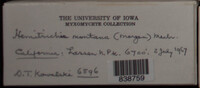 Image Associated With the Occurence